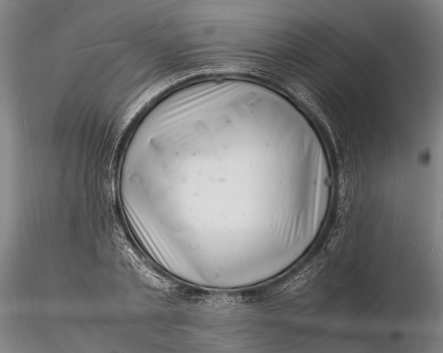 X0000116140789200912141131