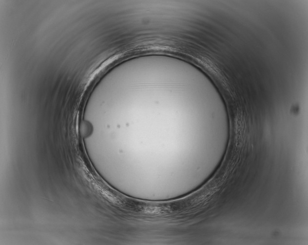 X0000116140790200912141131