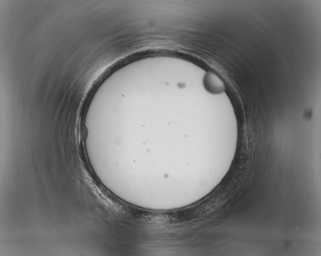 X0000116140791200912141131