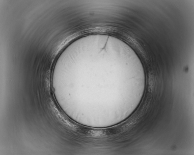 X0000116140794200912141131