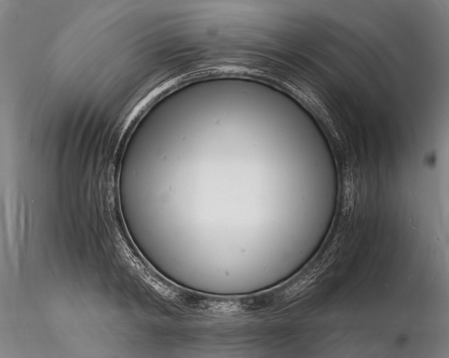 X0000116140798200912141131