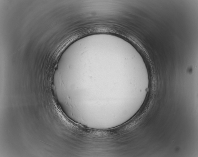 X0000116140801200912141131