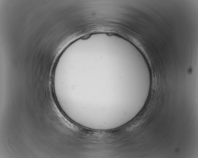 X0000116140803200912141131