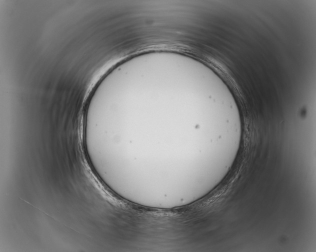 X0000116140804200912141131