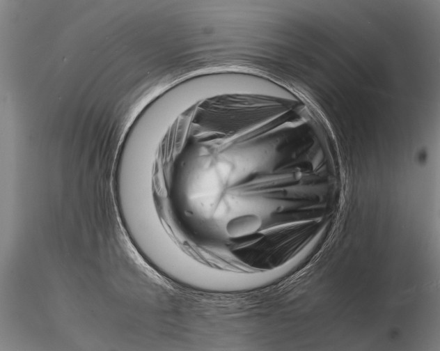 X0000116140805200912141131