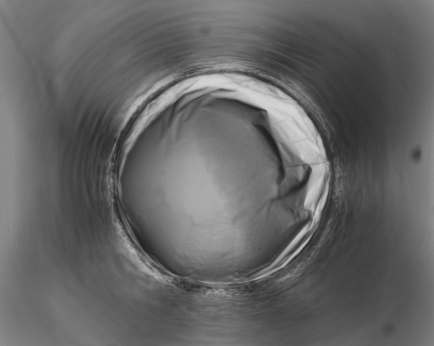 X0000116140806200912141131