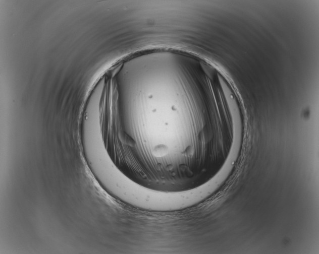 X0000116140807200912141131