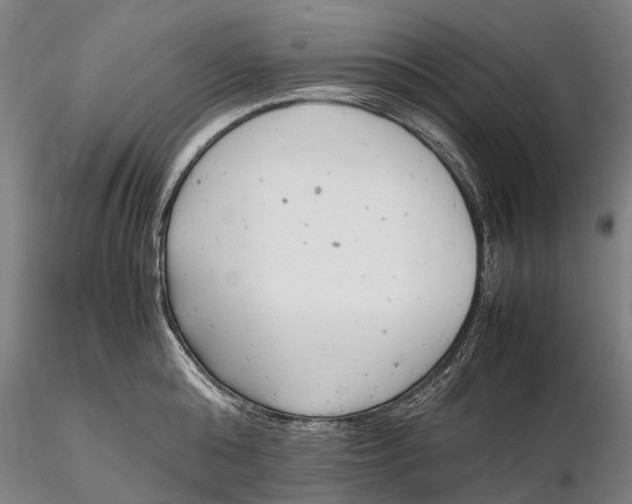 X0000116140808200912141131