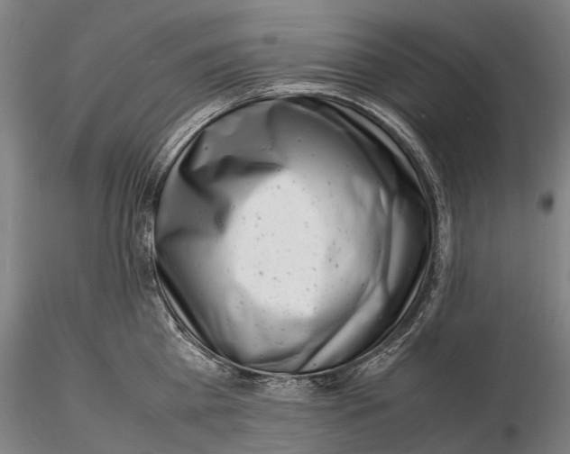 X0000116140809200912141131