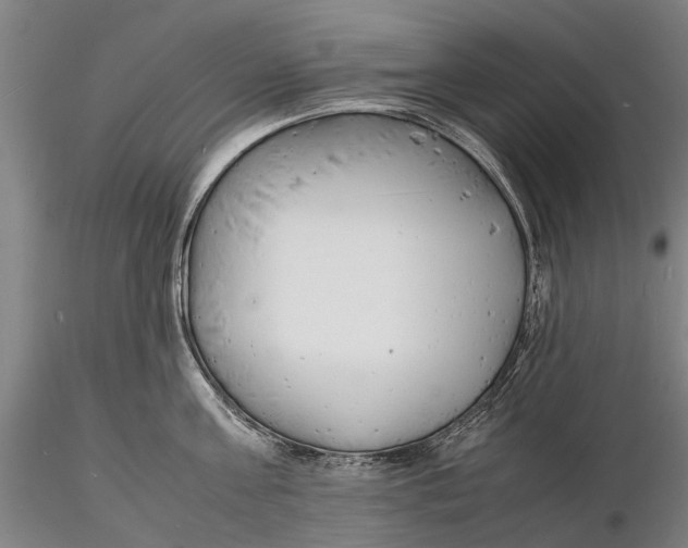 X0000116140811200912141131