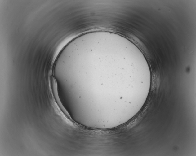 X0000116140812200912141131