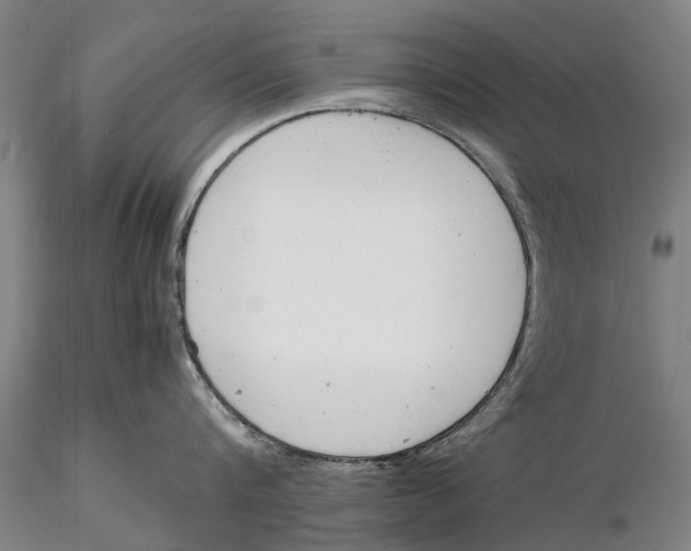 X0000116140816200912141131