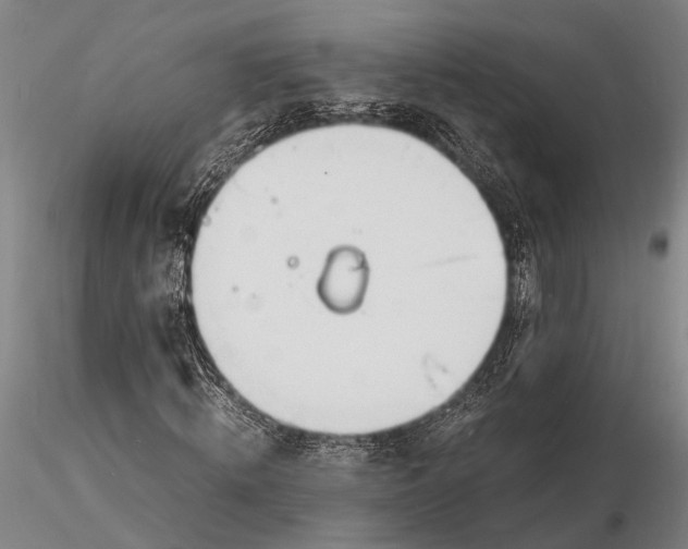 X0000116140820200912141130