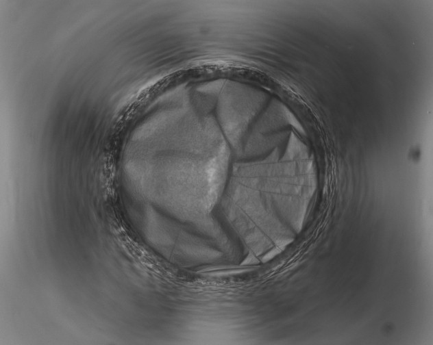 X0000116140822200912141130