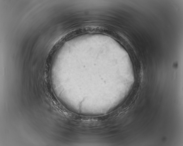 X0000116140823200912141130