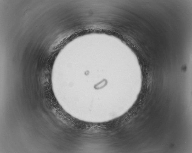 X0000116140824200912141130