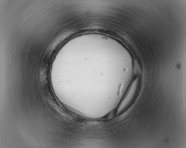 X0000116140826200912141130