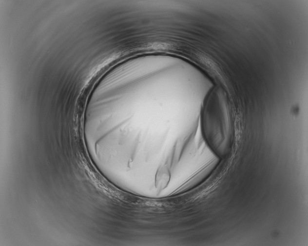 X0000116140827200912141130