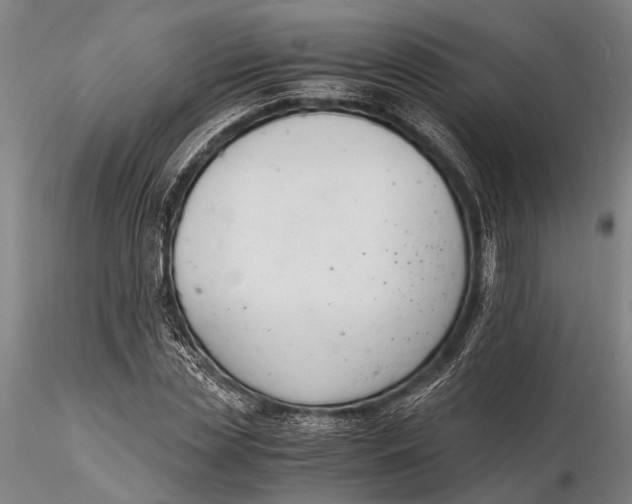 X0000116140829200912141130