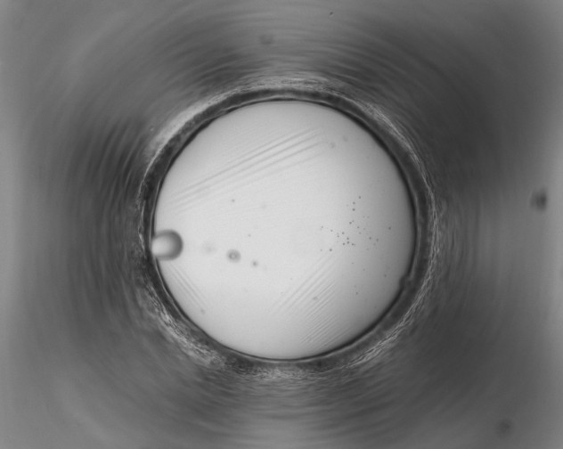 X0000116140830200912141130