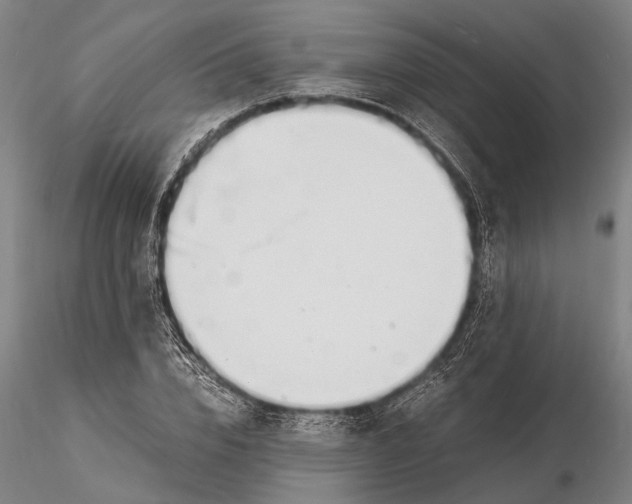 X0000116140832200912141130