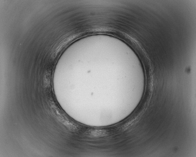 X0000116140833200912141130