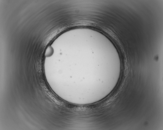 X0000116140834200912141130