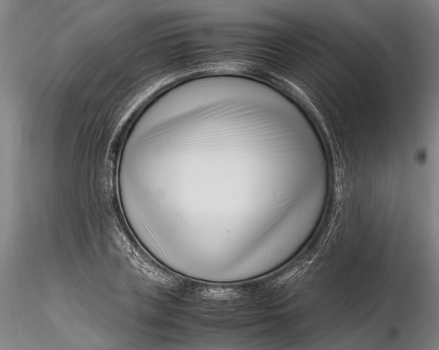 X0000116140835200912141130