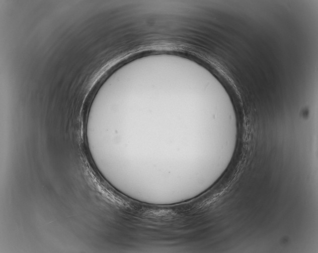 X0000116140837200912141130