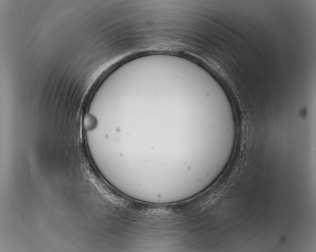 X0000116140838200912141130