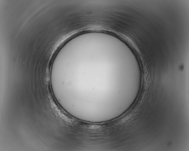 X0000116140839200912141130