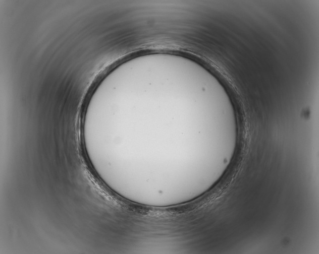 X0000116140840200912141130