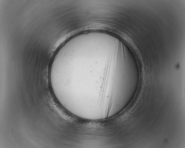 X0000116140842200912141130