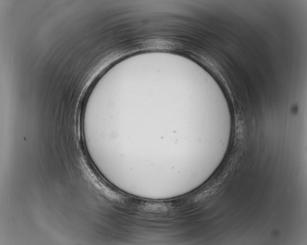 X0000116140843200912141130