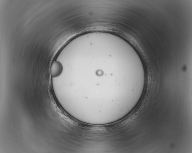 X0000116140844200912141130