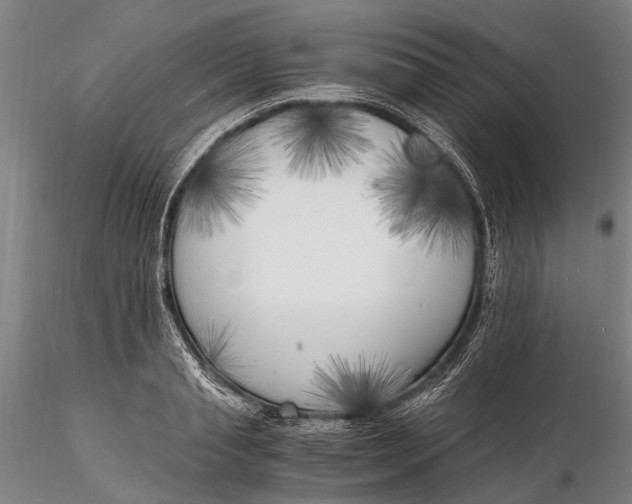 X0000116140845200912141131