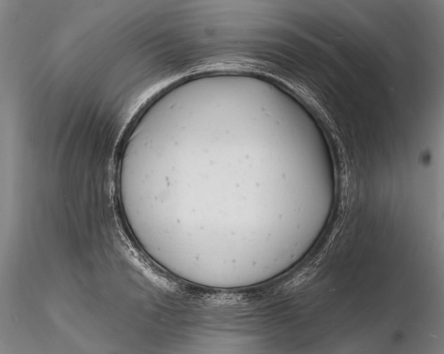 X0000116140846200912141131