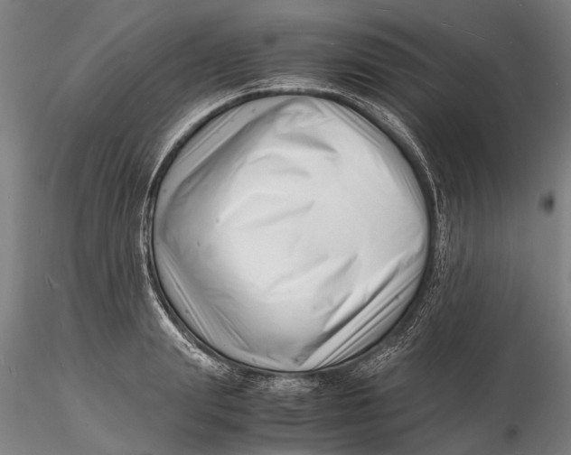 X0000116140847200912141131