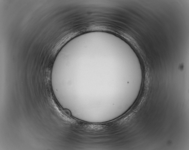 X0000116140849200912141131