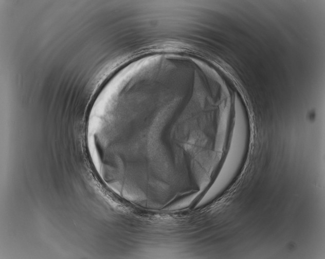 X0000116140850200912141131