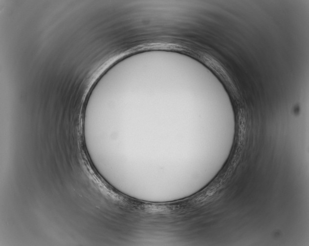 X0000116140852200912141131