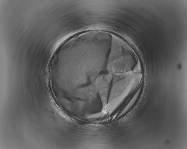 X0000116140854200912141131