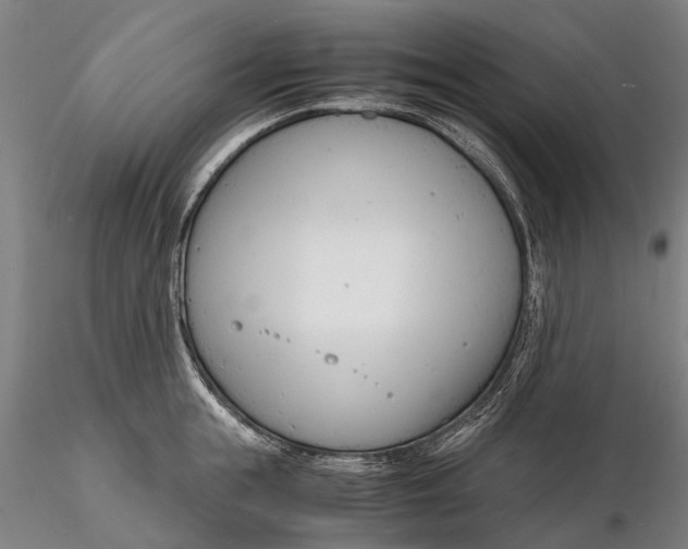 X0000116140855200912141131