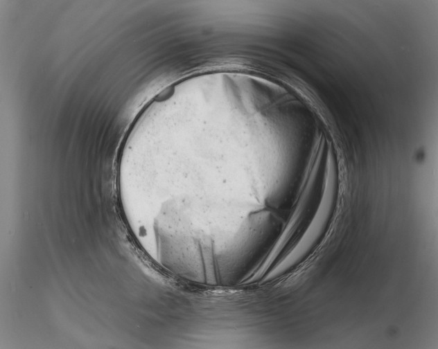 X0000116140858200912141131