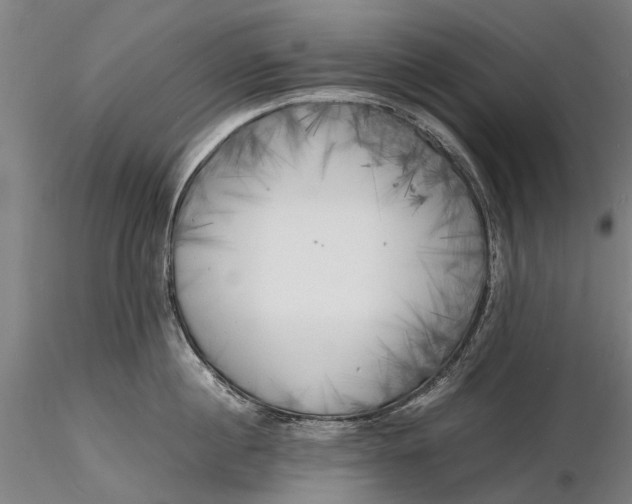 X0000116140860200912141131