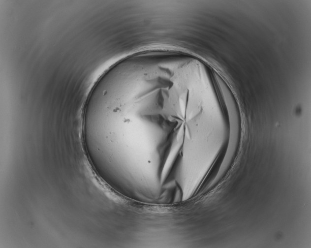 X0000116140862200912141131