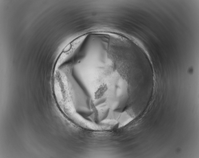 X0000116140863200912141131