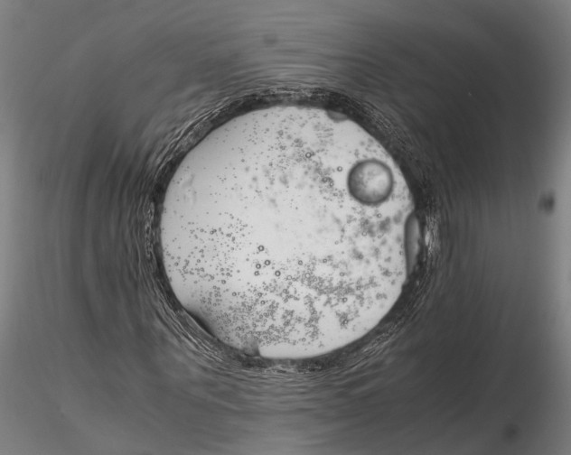 X0000116140867200912141130