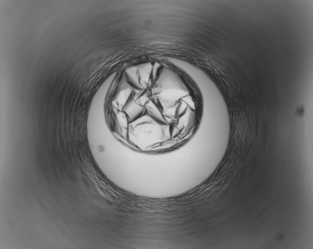 X0000116140868200912141130