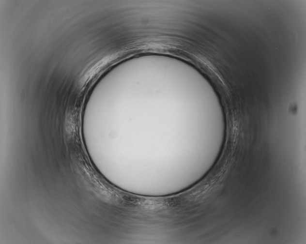 X0000116140874200912141130